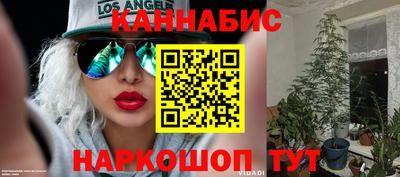 стафф Лесосибирск