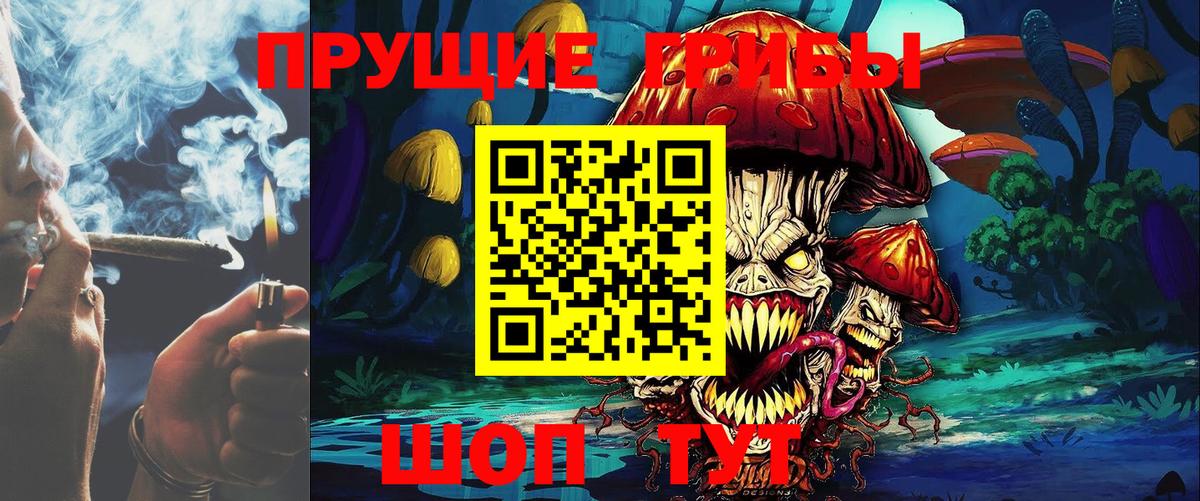 Иваново  Галлюциногенные грибы прущие грибы  Вход с VPN 